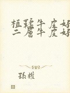 植鞣牛皮好还是二层牛皮好