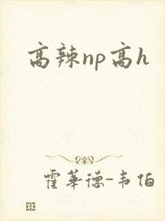 高辣np高h