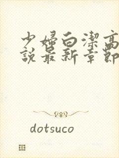 少妇白洁高义小说最新章节