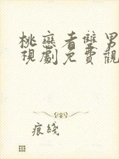 桃恋者双男主电视剧免费观看