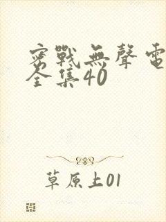 密战无声电视剧全集40