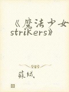 《魔法少女奈叶strikers》封面