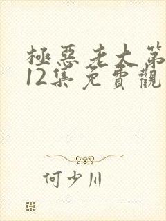 极恶老大第二季12集免费观看