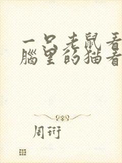 一只老鼠看到电脑里的猫看图写话封面