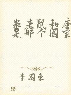 米老鼠和唐老鸭是哪个国家的动画片