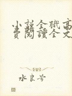 小说全职高手免费阅读全文无窗口