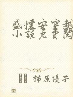 盛怀安穿越大魏小说免费阅读无弹窗