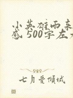小英雄雨来读后感 500字左右