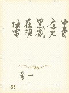 他在黑夜中相拥电视剧免费观看