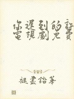 你迟到的许多年电视剧免费观看全集封面