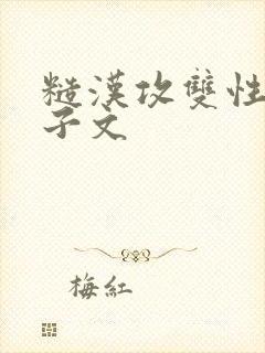 糙汉攻双性受生子文