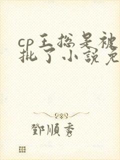 cp王总是被疯批了小说免费阅读