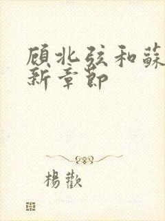 顾北弦和苏o最新章节