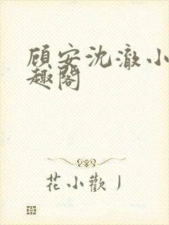 顾安沈澈小说笔趣阁