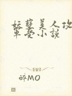 妖孽美人攻痞将军受小说封面