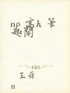 np 高h 笔趣阁