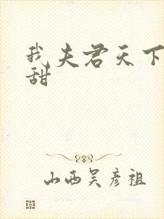 我夫君天下第一甜