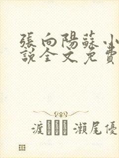 张向阳苏小棠小说全文免费阅读笔趣阁