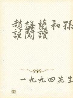 赵梅兰和孙明小说阅读