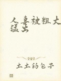 人妻被粗大猛进猛出