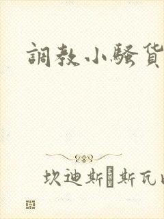 调教小骚货双性封面