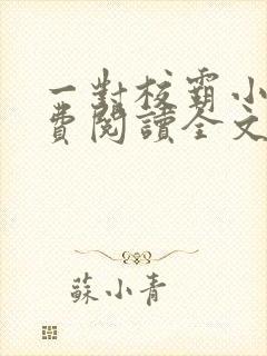 一对校霸小说免费阅读全文无弹窗