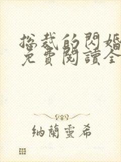 总裁的闪婚甜妻免费阅读全文封面