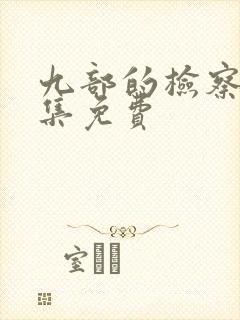 九部的检察官全集免费封面