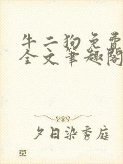 牛二狗免费阅读全文笔趣阁封面