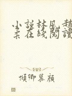 小说林风赵刚苏柔在线阅读苏柔