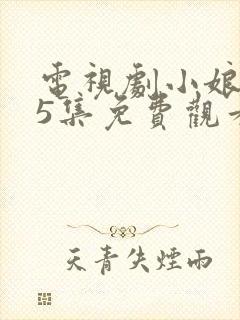 电视剧小娘惹45集免费观看大结局