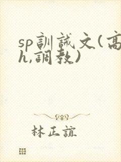 sp训诫文(高h,调教)
