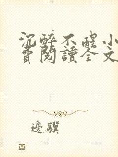 沉醉不醒小说免费阅读全文无弹窗