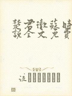 楚君彻苏时锦小说全文免费阅读封面