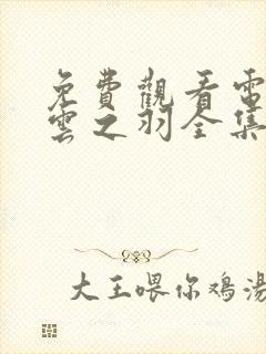 免费观看电视剧云之羽全集在线观看