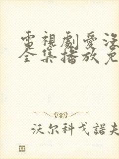 电视剧爱没有错全集播放免费