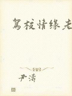 驾校情缘老赵封面