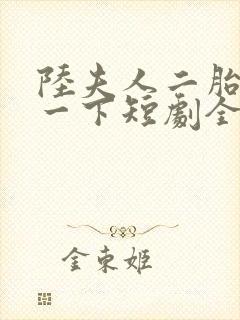 陆夫人二胎了解一下短剧全集免费观看高清