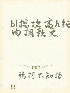 bl总攻高h纯肉调教文