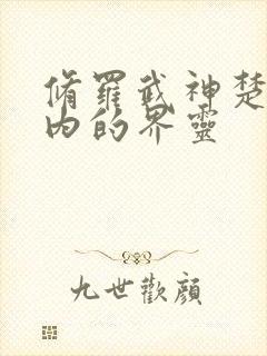 修罗武神楚枫体内的界灵