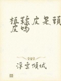 植鞣皮是头层牛皮吗