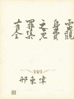 有罪之身电视剧全集免费观看高清