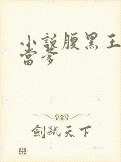 小说腹黑王爷喜当爹