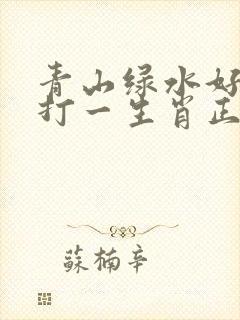 青山绿水好风光打一生肖正确答案