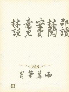 林意安林邵民小说免费阅读最新章节