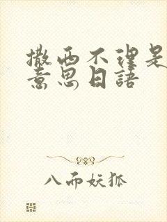 撒西不理是什么意思日语