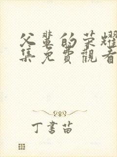 父辈的荣耀40集免费观看