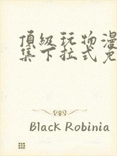 顶级玩物漫画全集下拉式免费观看封面