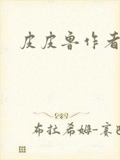 皮皮鲁作者简介封面