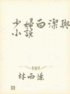 少妇白洁与高义小说封面